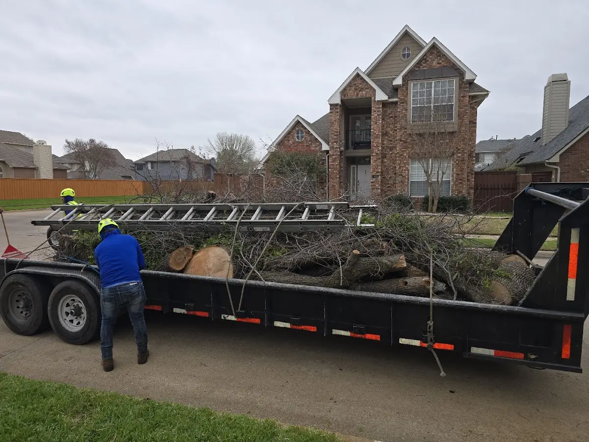 Expert Tree Fertilization with proper safety equipment in Farmers